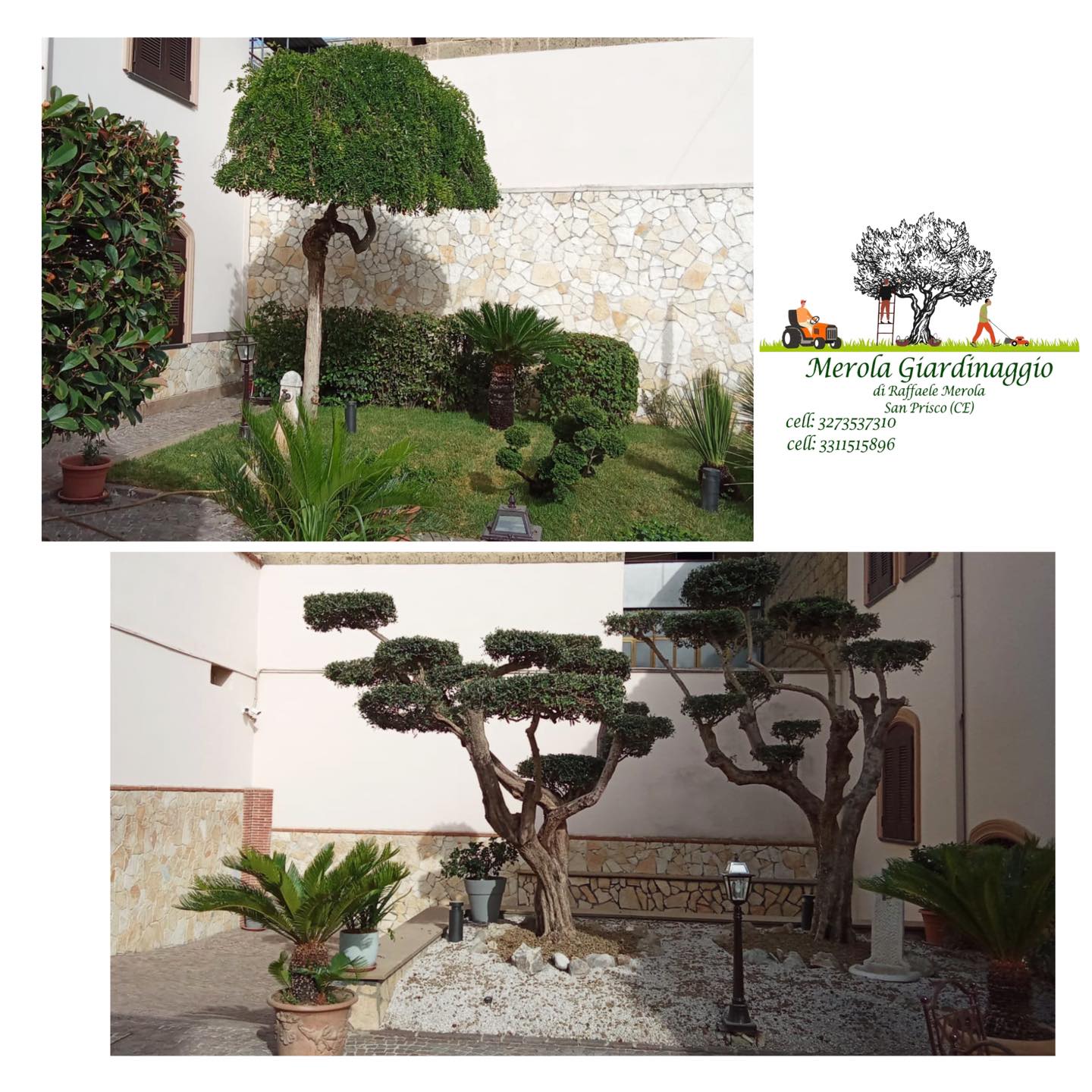 Sagomatura Siepi e Piante